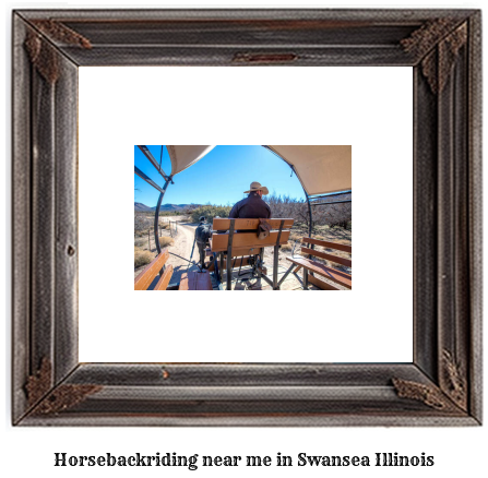 horseback riding near me in Swansea, Illinois